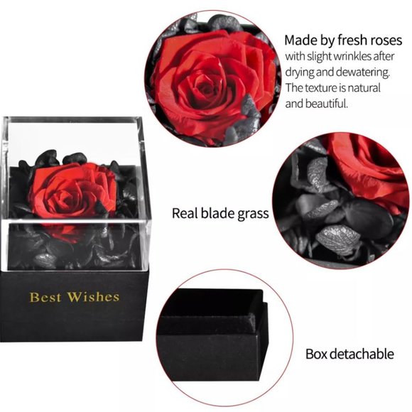 Preserved Rose In a Acrylic Box with Silver Plated April Birthstone Necklace - Picture 14 of 15